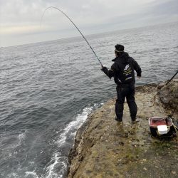 和歌山市江（吉丸渡船）でグレ釣り