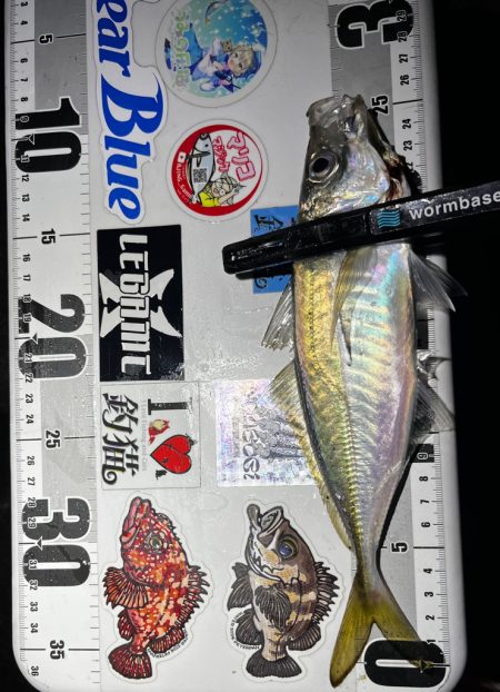 アジング