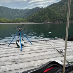 今年初ヤエン