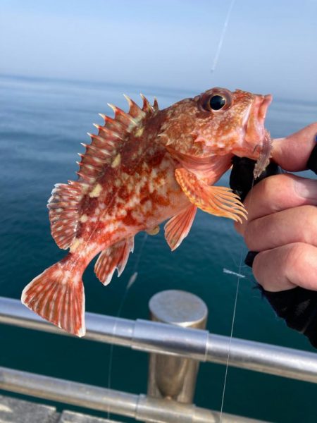 淡路島釣行！