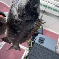 3ヶ月ぶりの釣行（インショア）