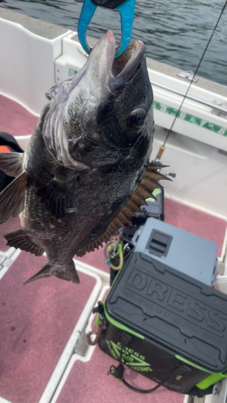 3ヶ月ぶりの釣行（インショア）