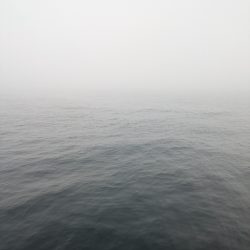 大鯵狙い