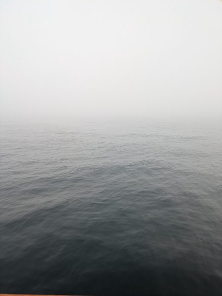 大鯵狙い