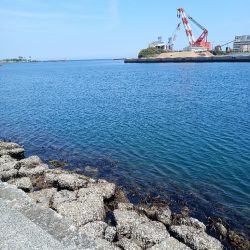 春の津名