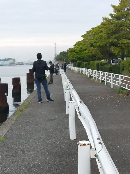 投げサビキで