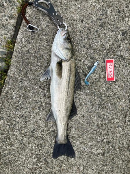 今年初釣果