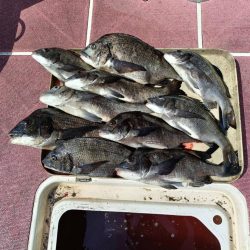3ヶ月ぶりの釣行（インショア）