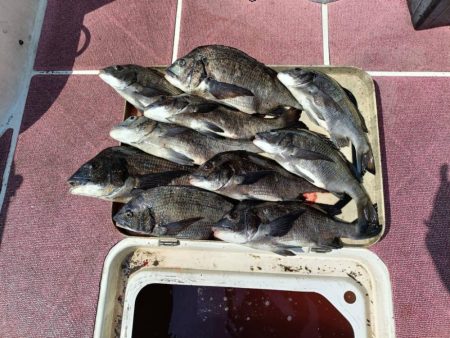 3ヶ月ぶりの釣行（インショア）