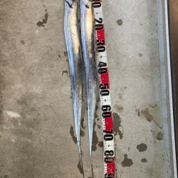 いい感じ