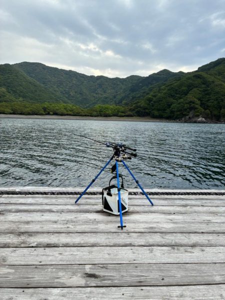 今年初ヤエン