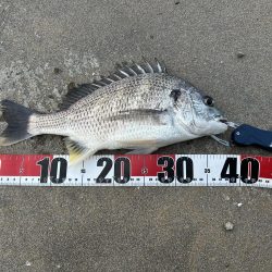 投げ釣りライト