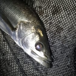 風が厄介…