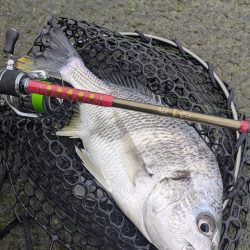 広島チニング超ランガンでツツツ抜け達成！