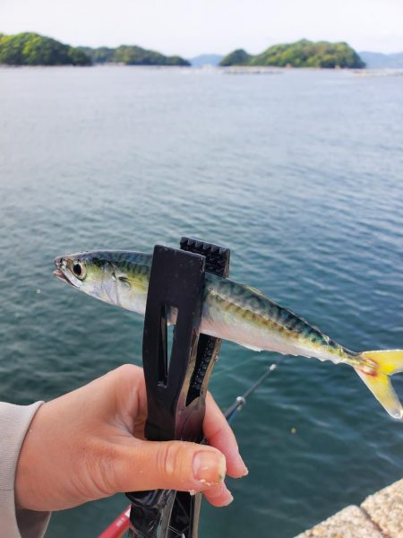 サビキ釣り