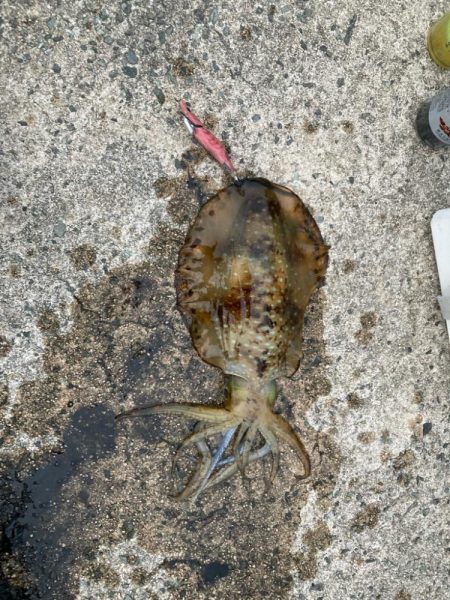 アタリが