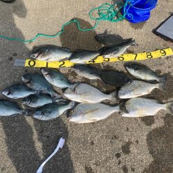 磯フカセ釣り