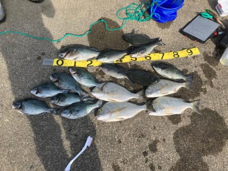 磯フカセ釣り