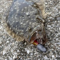 釣りすぎ