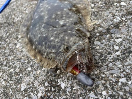 釣りすぎ