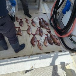 真鯛釣り
