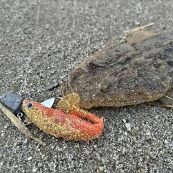 小さいけど１匹は１匹！