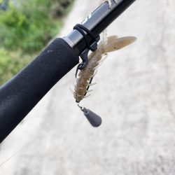 しごおわ