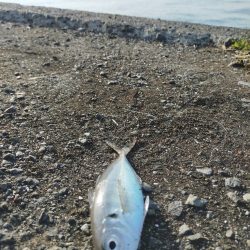 小潮の午後