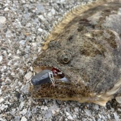 釣りすぎ