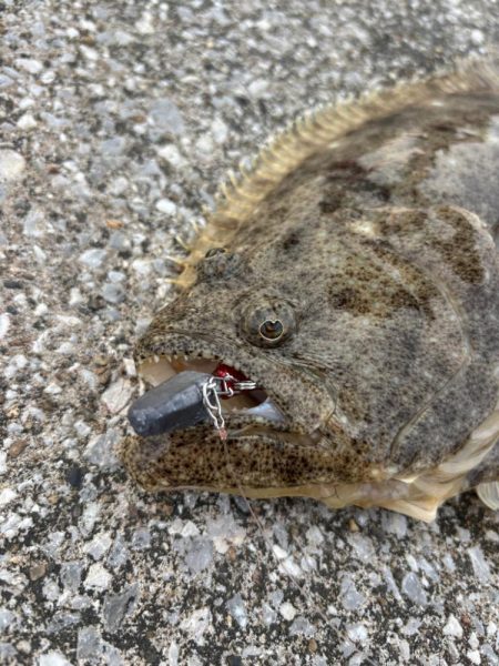 釣りすぎ