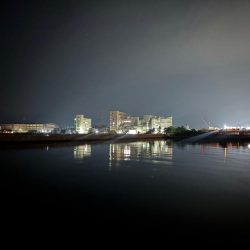 メバル24