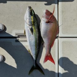 爆風の釣行