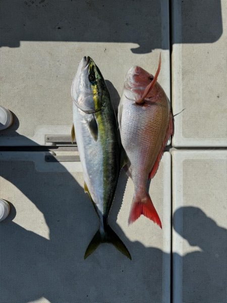爆風の釣行