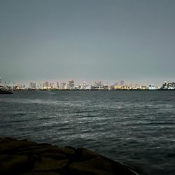 シーバス