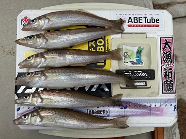 今回も地元のサーフで釣りました