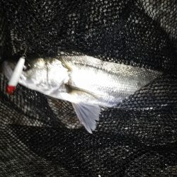 風が厄介…