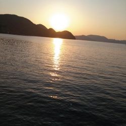 何かが釣れる