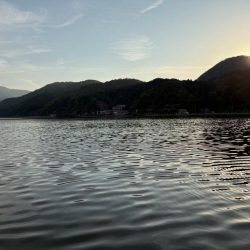 良きサイズ
