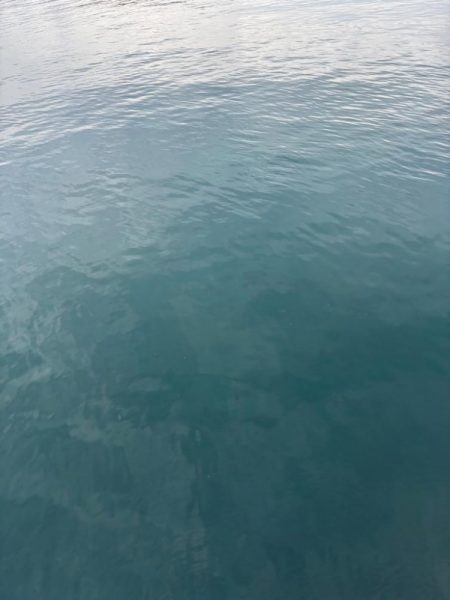 デイエギング　短時間でも釣れた