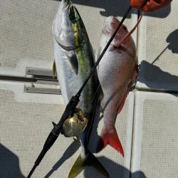 爆風の釣行