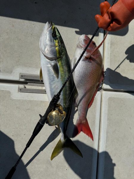 爆風の釣行