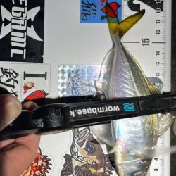 アジング