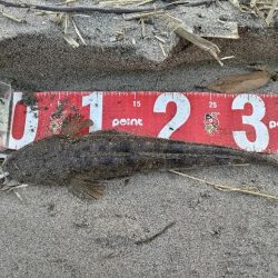 小さいけど１匹は１匹！