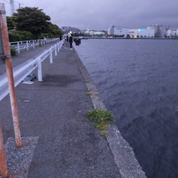 弱い横風