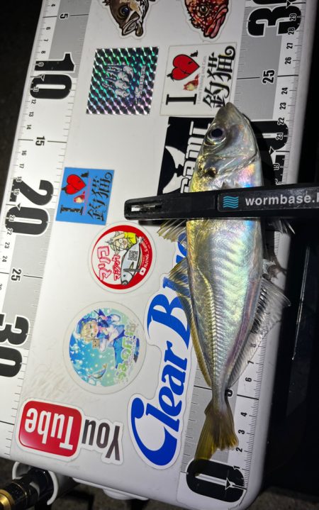 爆風アジング