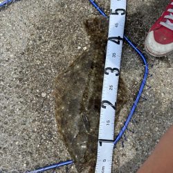 釣りすぎ