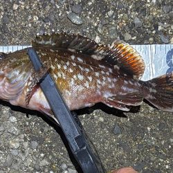 風波克釣