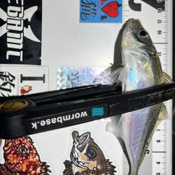 アジング