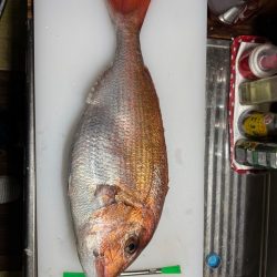 爆風の釣行
