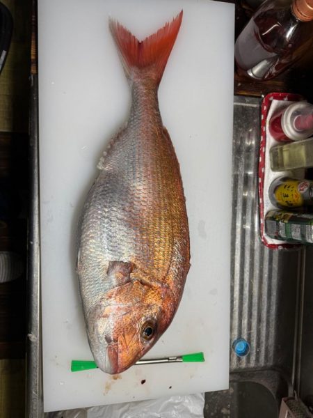 爆風の釣行